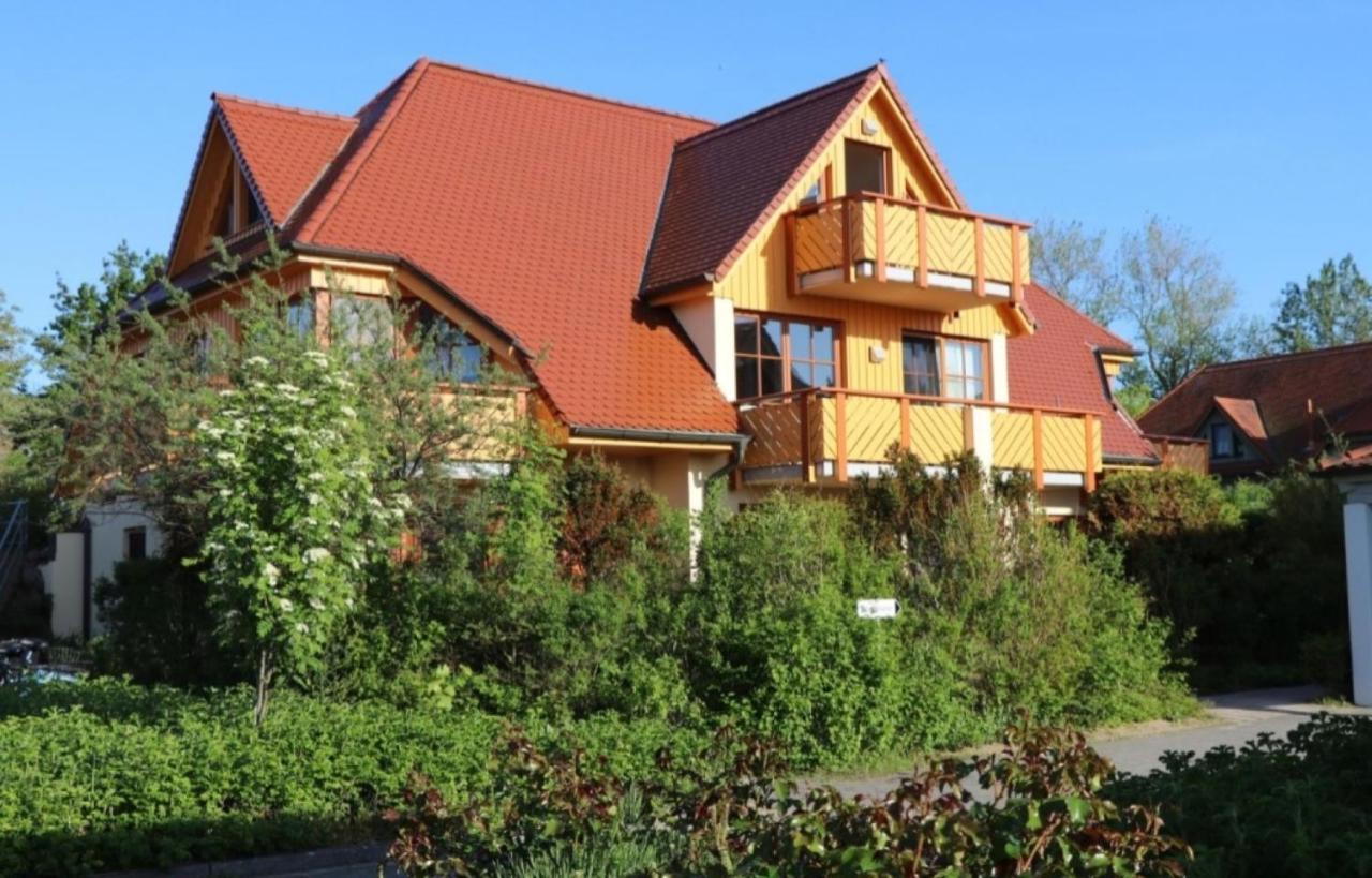 Oewern Diek Wustrow  Kültér fotó